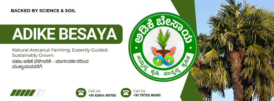 Adike Besaya - Natural Arecanut Farming